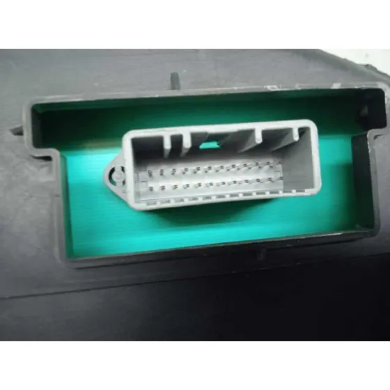 Cuadro Instrumentos para Renault Megane Ii Berlina 5P