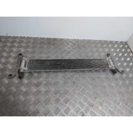 Radiador Agua para Audi Q7 (4L)
