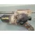 Motor Limpia Delantero para Nissan Navara Pick-Up (D40M)