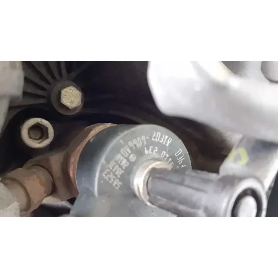 Despiece Motor para Ford Focus Sportbreak (Cap)