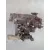 Caja Cambios para Seat Ibiza (6L1)