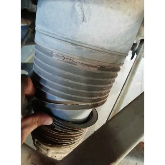 Amortiguador Trasero Izquierdo para Porsche Cayenne (Typ 9Pa)