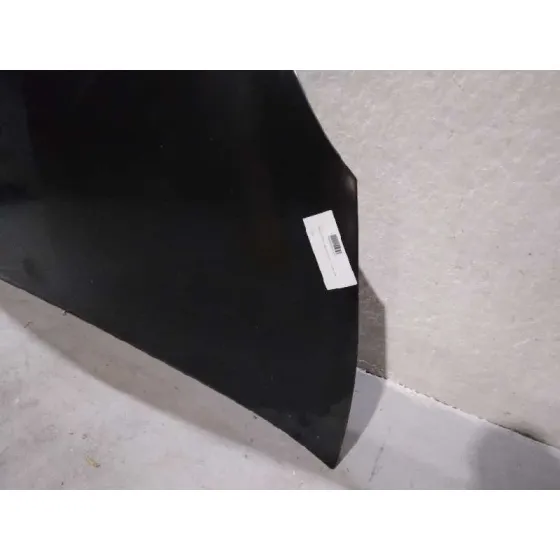 Capot para Lancia Ypsilon (101)