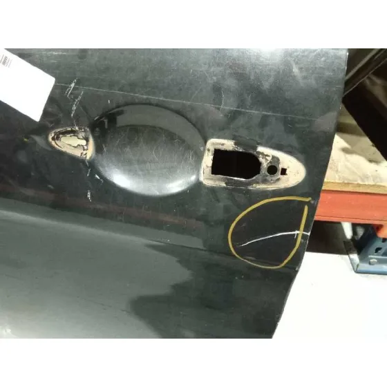 Puerta Delantera Izquierda para Lancia Ypsilon (101)