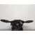 Anillo Airbag para Ford Transit Connect (Tc7)