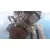 Despiece Motor para Bmw Serie 3 Berlina (E90)