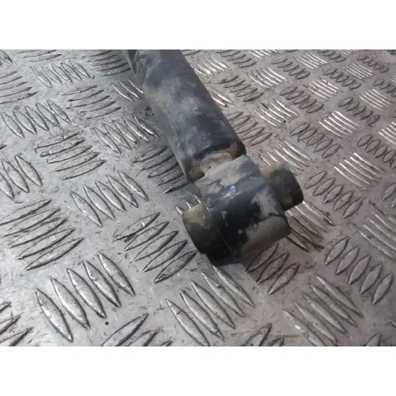 Amortiguador Trasero Izquierdo para Audi A4 Berlina (8W2)