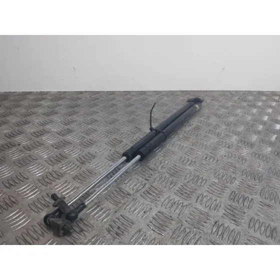 Amortiguadores Maletero / Porton para Mitsubishi Grandis (Na0W)