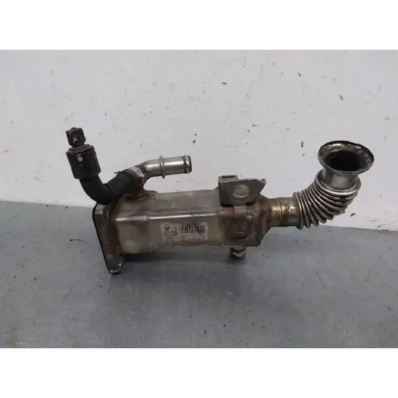 Enfriador Egr para Renault Scenic Ii