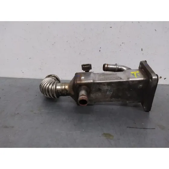 Enfriador Egr para Renault Scenic Ii