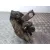 Mangueta Delantera Izquierda para Bmw X3 (E83)