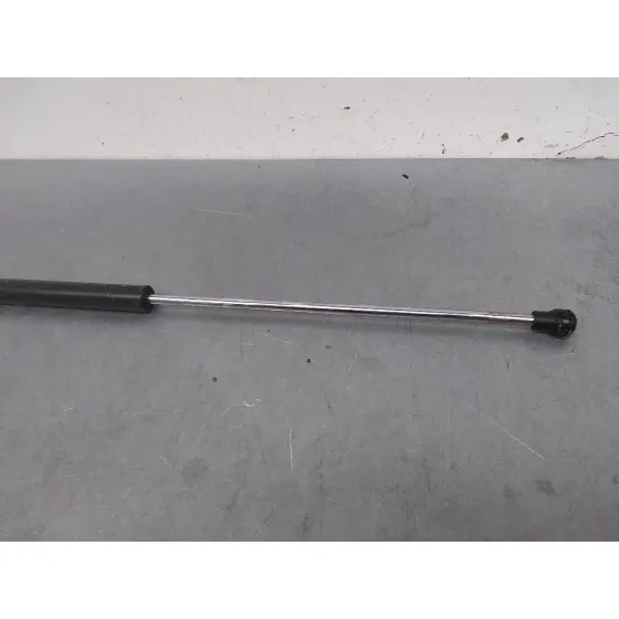 Amortiguadores Maletero / Porton para Peugeot 207 Cc