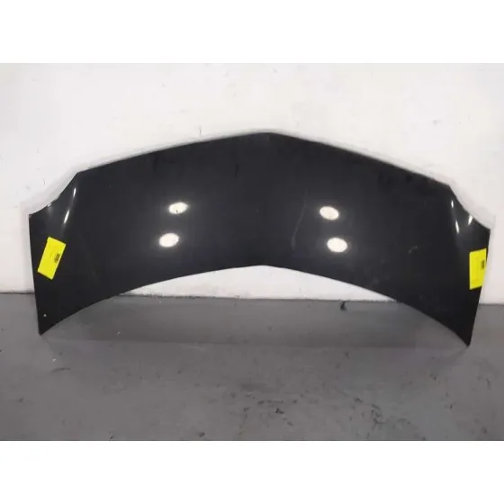 Capot para Renault Modus