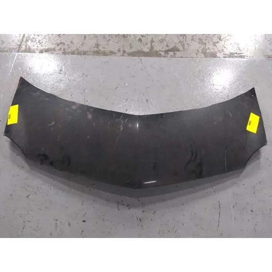 Capot para Renault Modus