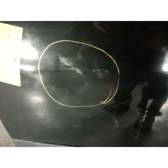 Puerta Trasera Izquierda para Renault Modus