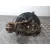 Mangueta Delantera Derecha para Nissan Qashqai (J11)