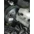 Servofreno para Ford Transit Custom Kasten