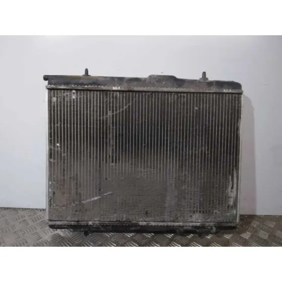 Radiador Agua para Peugeot 206+