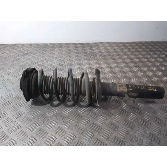 Amortiguador Delantero Izquierdo para Volkswagen Passat Variant (365)