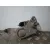 Motor Limpia Delantero para Ford Focus Lim. (Cb8)