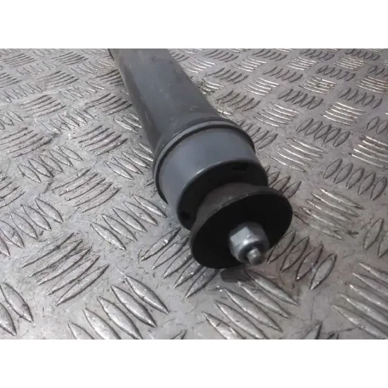 Amortiguador Trasero Derecho para Renault Captur Ii