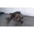 Diferencial Delantero para Nissan Terrano/Terrano.ii (R20)
