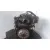 Motor Completo para Nissan Almera Tino (V10M)