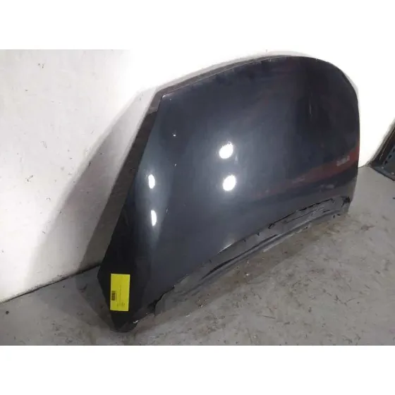 Capot para Renault Espace Iv (Jk0)