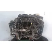 Despiece Motor para Ford Focus Berlina (Cap)