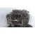 Despiece Motor para Ford Focus Berlina (Cap)