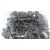 Despiece Motor para Ford Focus Berlina (Cap)