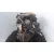 Despiece Motor para Ford Focus Berlina (Cap)