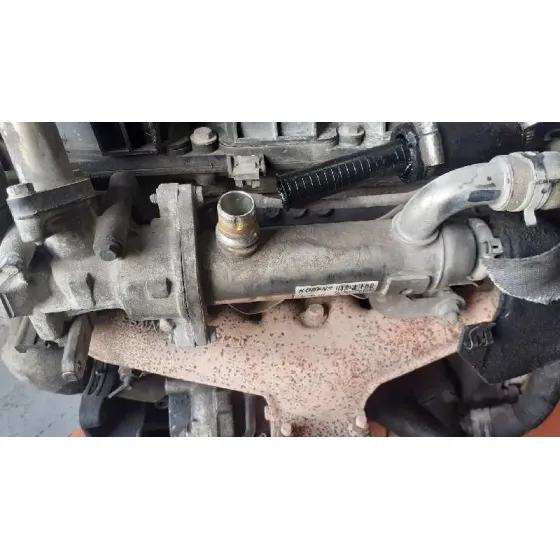 Enfriador Egr para Peugeot Expert Tepee