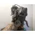 Motor Completo para Lancia Ypsilon (101)