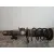 Amortiguador Delantero Izquierdo para Volvo S60 Lim.