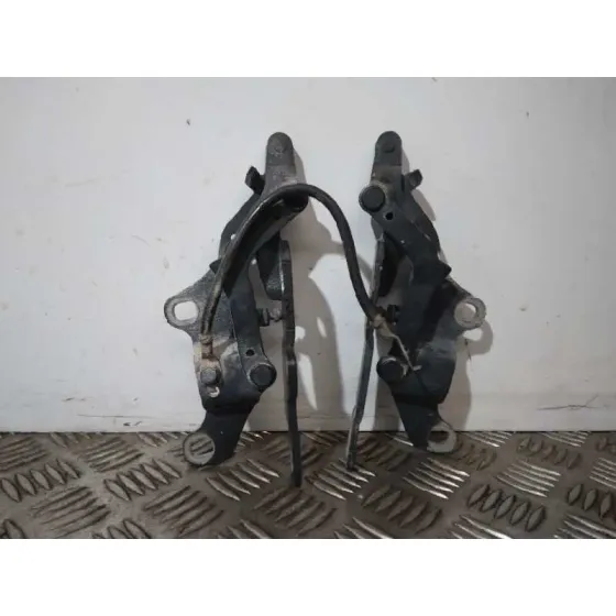 Bisagra Capot para Bmw Serie 3 Touring (E91)