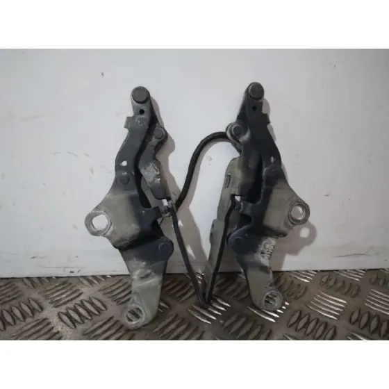 Bisagra Capot para Bmw Serie 3 Touring (E91)