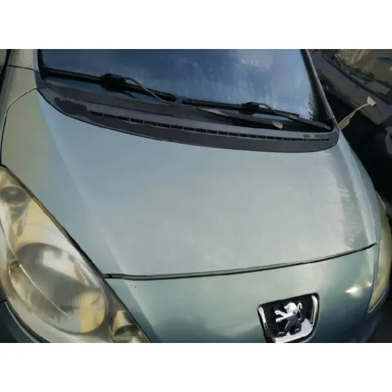 Capot para Peugeot 1007