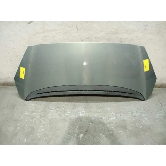 Capot para Peugeot 1007