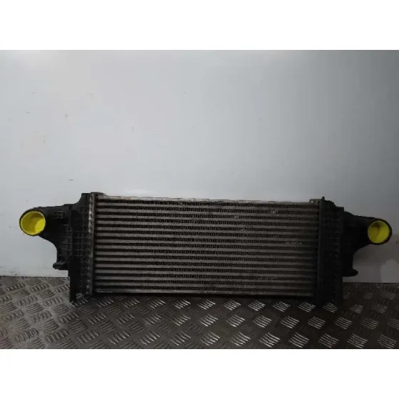 Intercooler para Mercedes-Benz Clase M (W164)