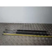 Amortiguadores Maletero / Porton para Nissan Nv 200 (M20)