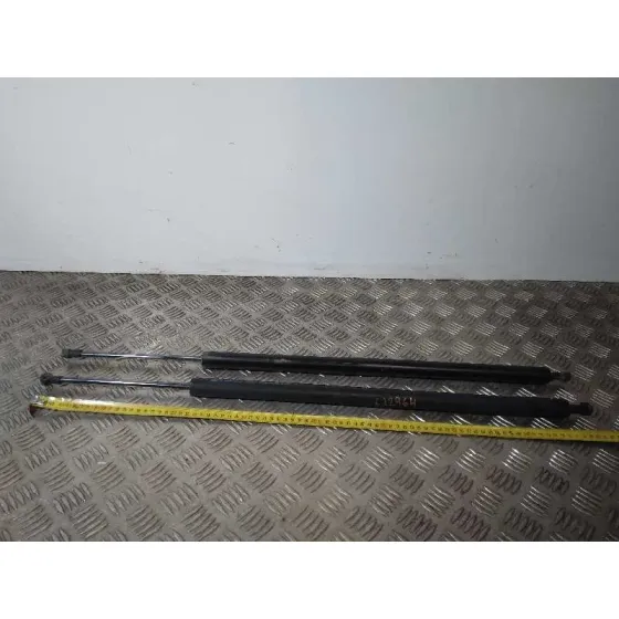 Amortiguadores Maletero / Porton para Nissan Nv 200 (M20)