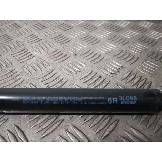Amortiguadores Maletero / Porton para Nissan Nv 200 (M20)