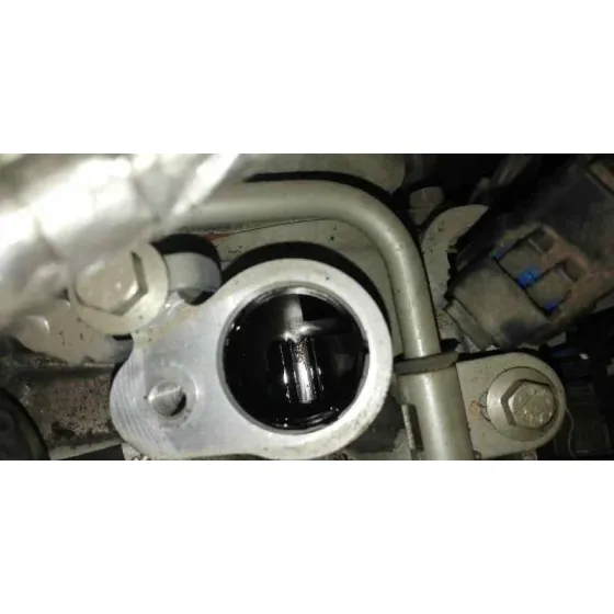 Despiece Motor para Nissan Qashqai (J10)