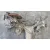 Puente Trasero para Renault Scenic Iii