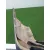 Paragolpes Trasero para Bmw X5 (E53)