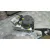 Abs para Mercedes-Benz Clase S (W220) Berlina