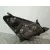 Faro Izquierdo para Toyota Corolla Verso (R1)