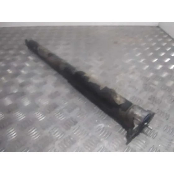 Amortiguador Trasero Derecho para Ford C-Max