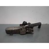 Enfriador Egr para Volkswagen Golf V Berlina (1K1)